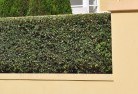Colac Colachard-landscaping-surfaces-8.jpg; ?>